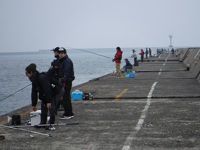 ハッピー フィッシング 新潟 東港 第 2 東 防波堤 管理 釣り場