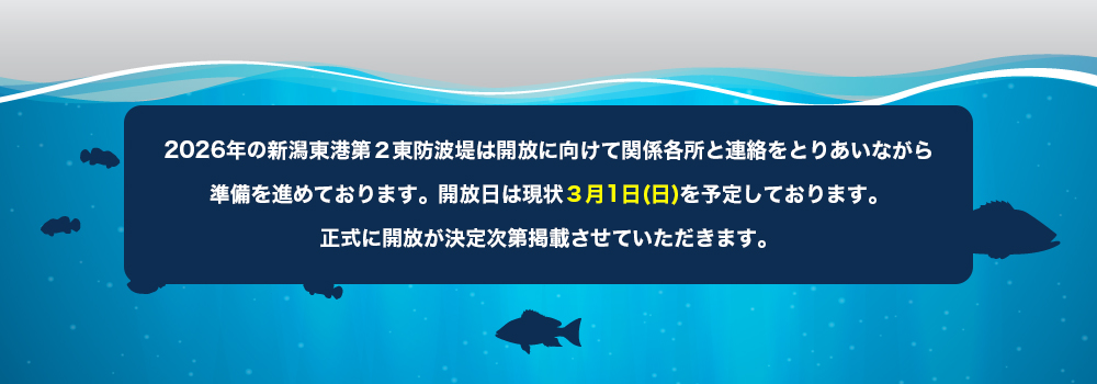 2026年開放について