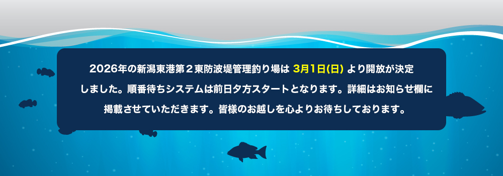 2026年開放について